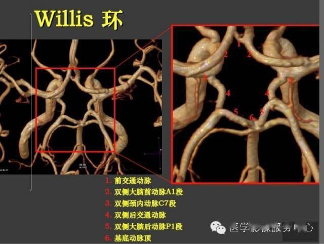 图文详解willis环