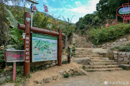 风景绝美！深圳市中部郊野径建成开放 全长24.74公里，横跨三区