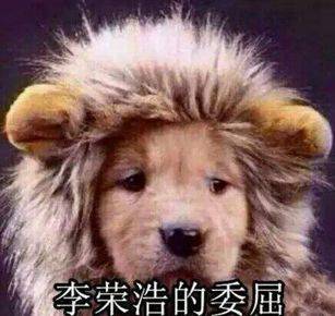 楊丞琳曬出一張照片引起全網爆笑：這是李榮浩的娃嗎？哈哈哈哈哈！ 萌趣萌寵 第18张