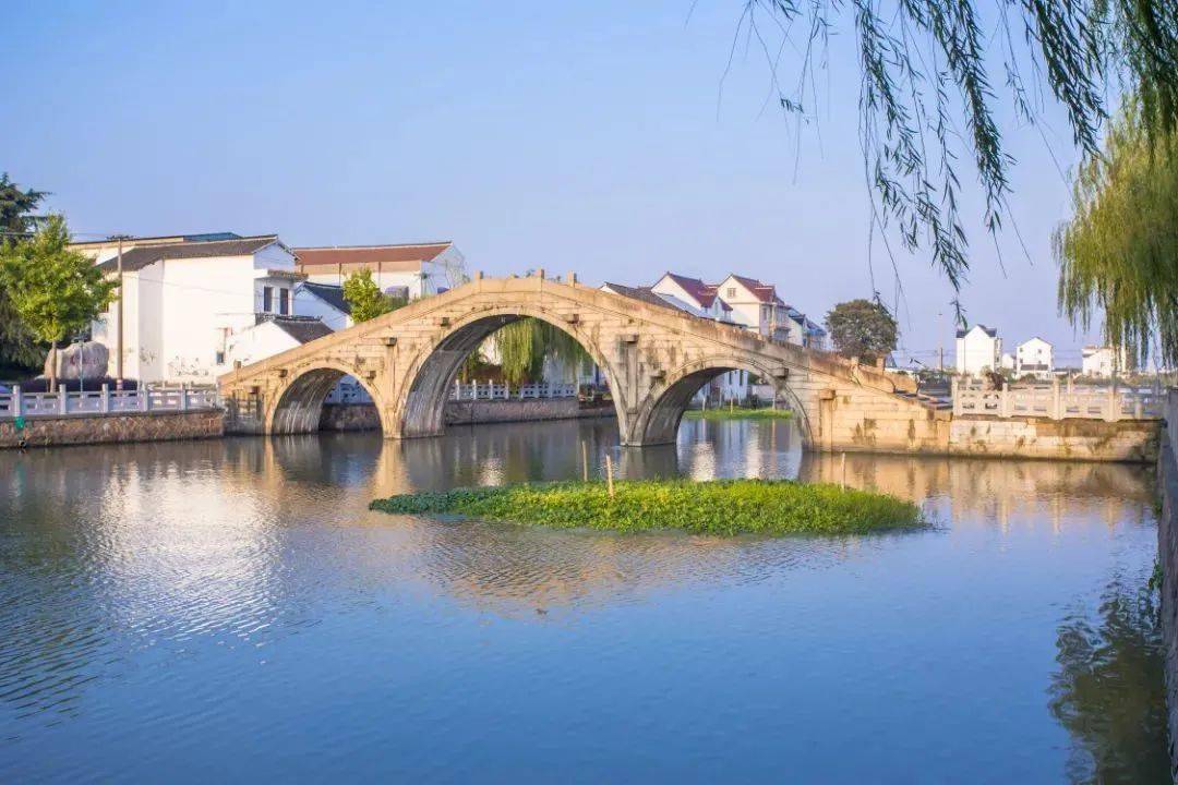 牛平湖这个村登上省级榜单是你老家吗