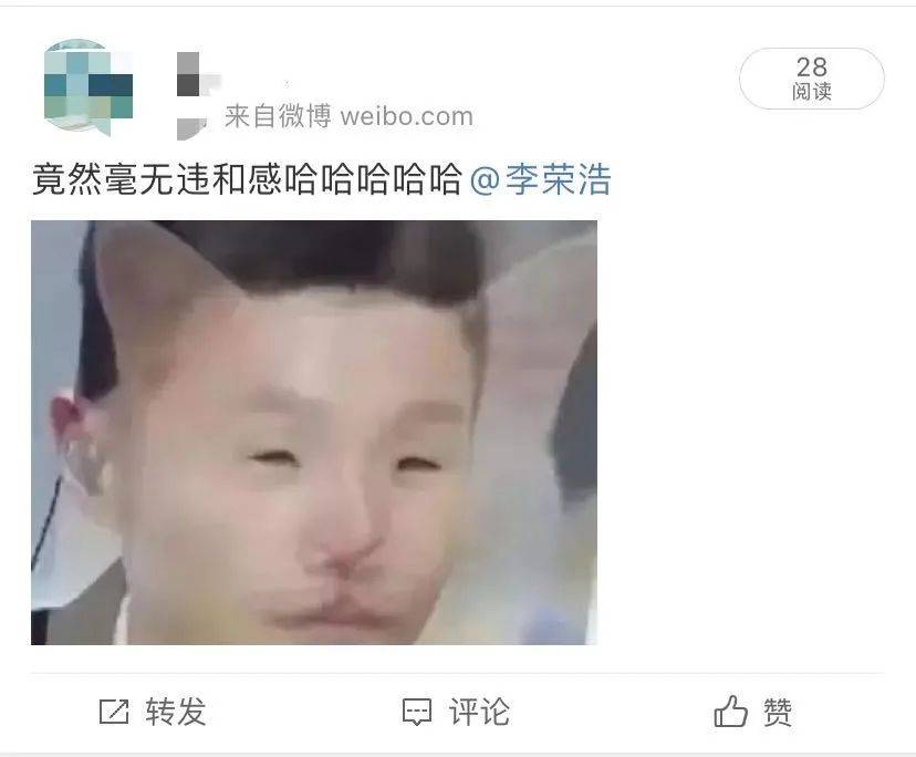 楊丞琳曬出一張照片引起全網爆笑：這是李榮浩的娃嗎？哈哈哈哈哈！ 萌趣萌寵 第8张