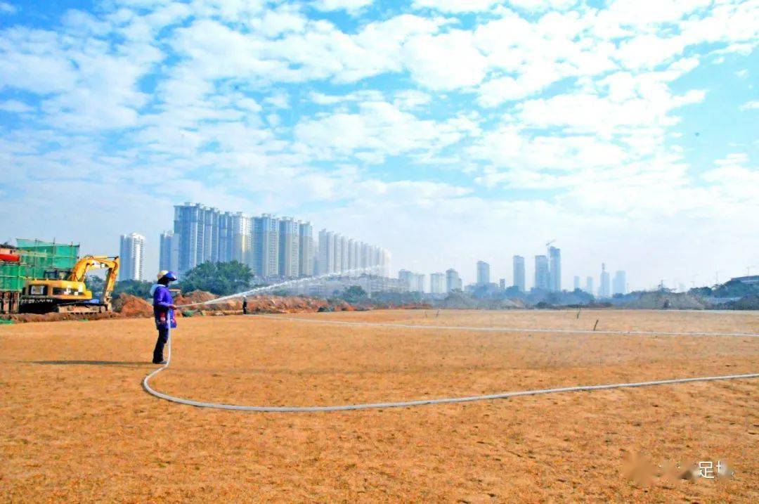 大江埠足球公园东郡足球公园球场已开始植草建成后能举办职业足球比赛