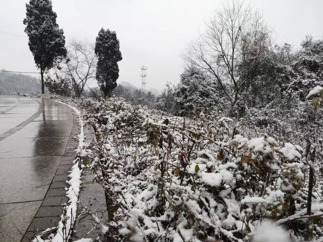 带小朋友们出门看雪不少家长趁此难得机会屈指可数遵义城白天下雪的