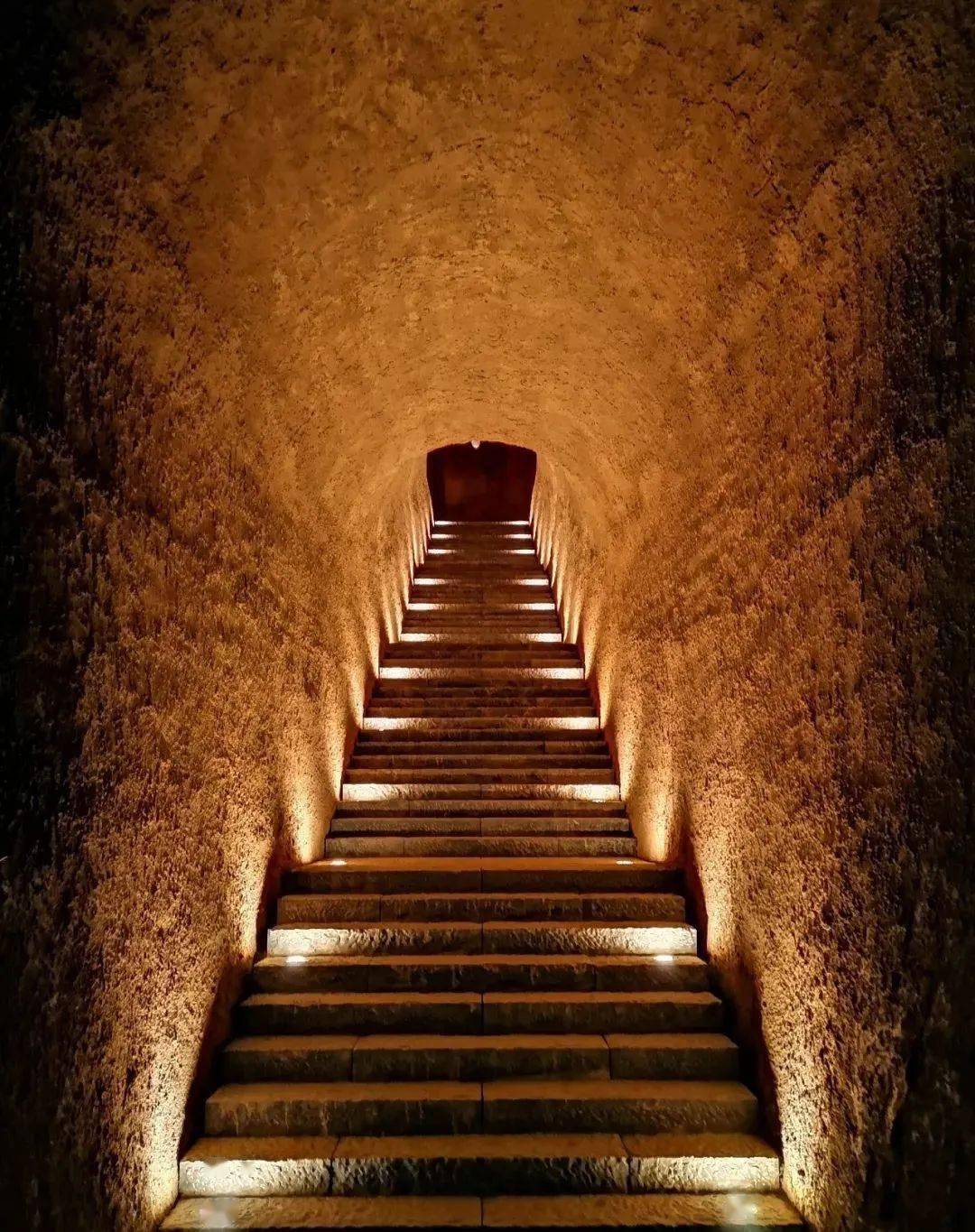 西建集团承建的"西侯度遗址"荣登国家一级学术期刊,中文核心期刊67