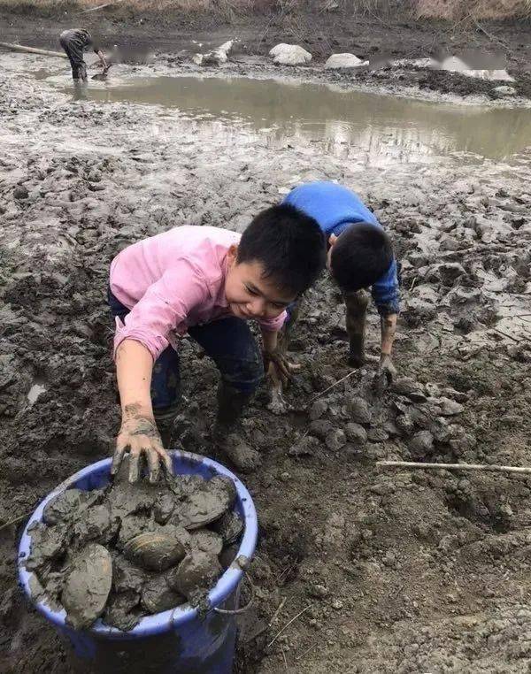 捞鱼了!澧县农村干鱼塘的场景,你有经历过吗?