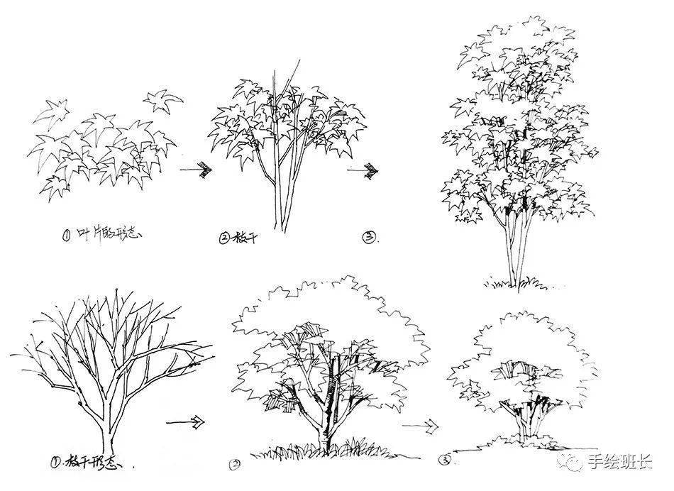 手绘学习景观设计手绘中轮廓植物的表现