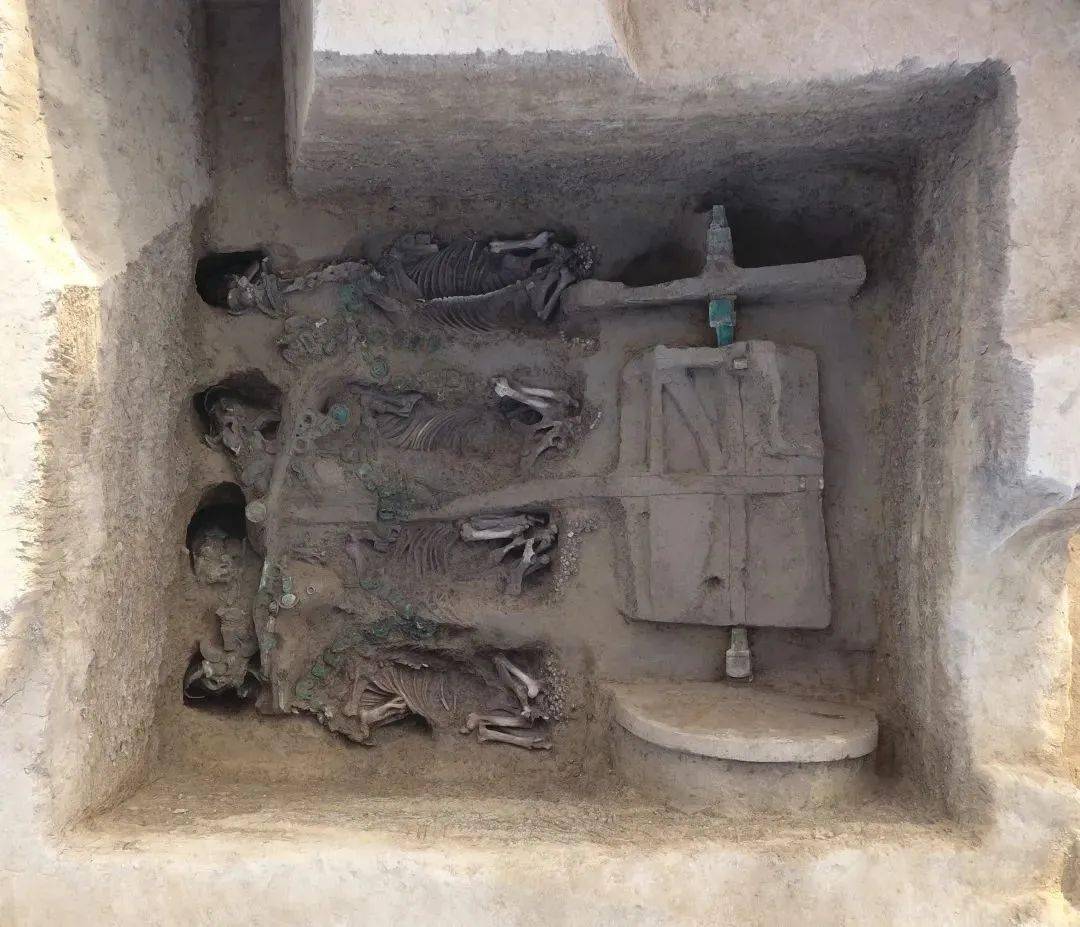 其中滨州的 邹平东安遗址, 发现山东地区西周时期级别最高的车马坑.