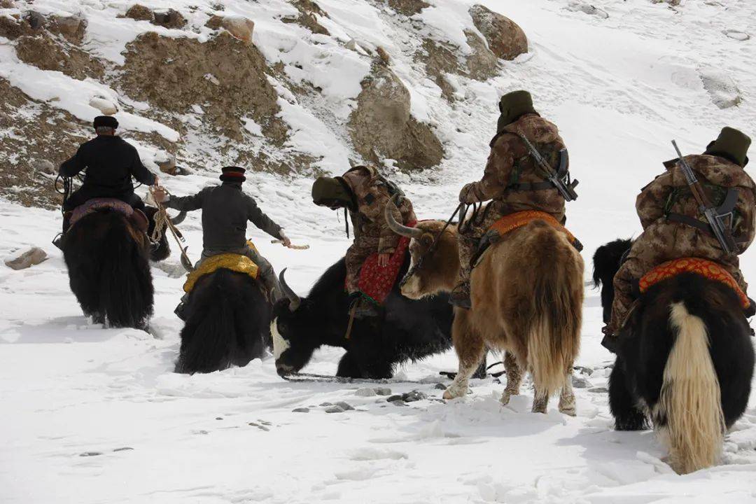 骑着牦牛的护边队伍.李翔摄