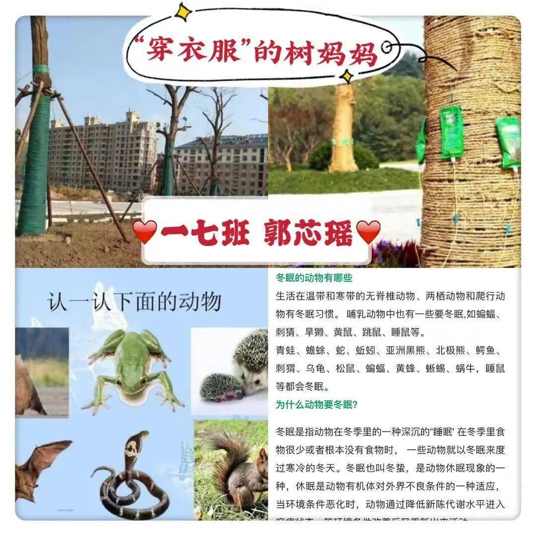 城内班级探索动植物过冬的秘密城内小学一七班