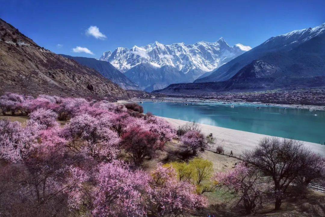 3月出发最美春天林芝桃花大峡谷南迦巴瓦峰