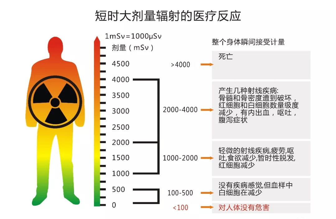 反覆接受ct掃描的患者輻射風險評估