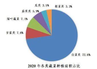 2020年蔬菜种植规模稳步提升(图2)