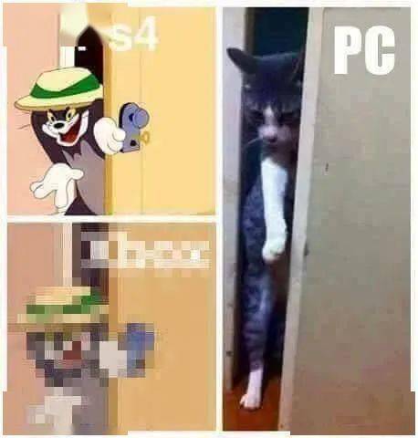 ea76a49315774c48a0b1543dcc3252b7.jpeg