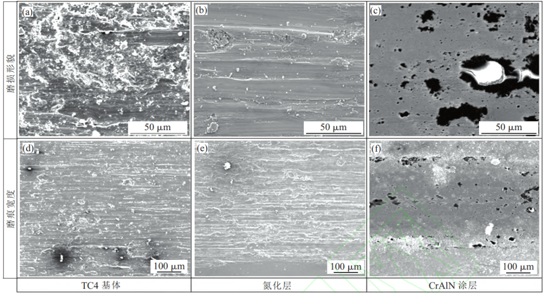 tc4 钛合金表面 craln 涂层的制备及性能研究_磨损
