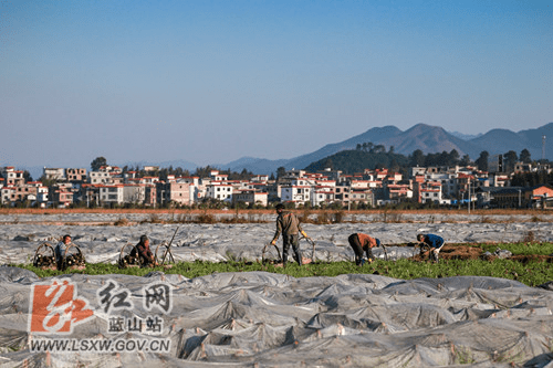 蓝山县雷家岭村人口_无标题