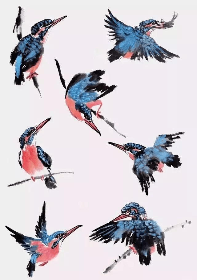 【国画教程】如何画好花鸟画中的鸟?