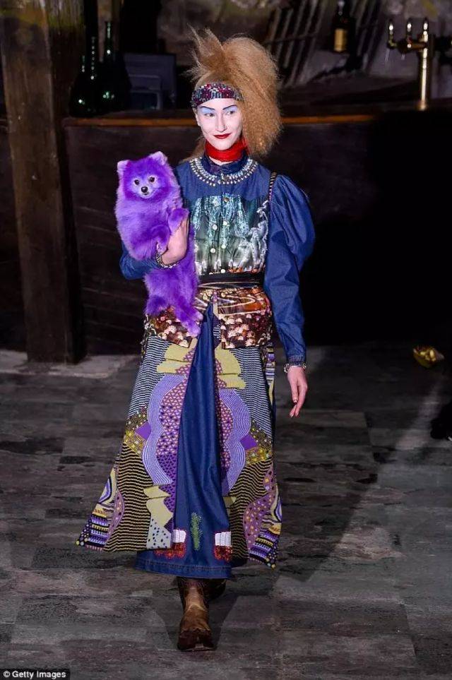 你以為這是愛狗？拜託，清醒點，這是在要它的命啊！ 萌趣萌寵 第11张