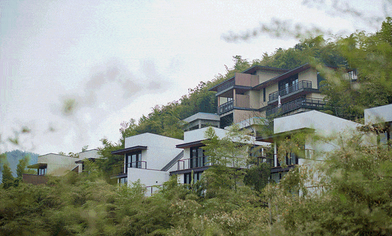 慧心谷绿奢度假村位于中国茶禅文化发源地——湖州市西塞山旅游度假区