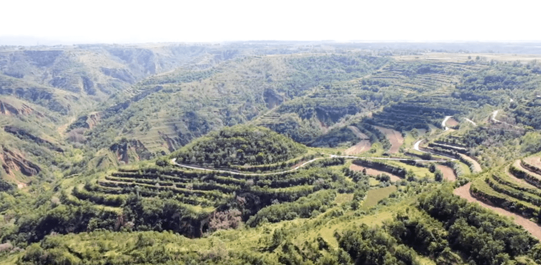 视频枣园镇一路高歌永向阳