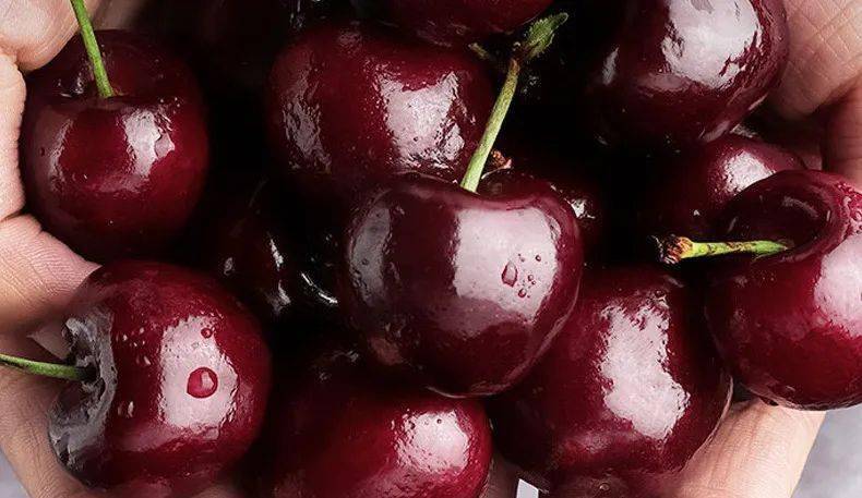 128元享j级车厘子5斤装!158元享jj级车厘子5斤装._手机搜狐网