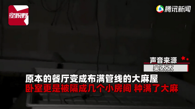 一家5口租下650万豪宅，住8个月后突然全部消失，房东上门一看顿时欲哭无泪。