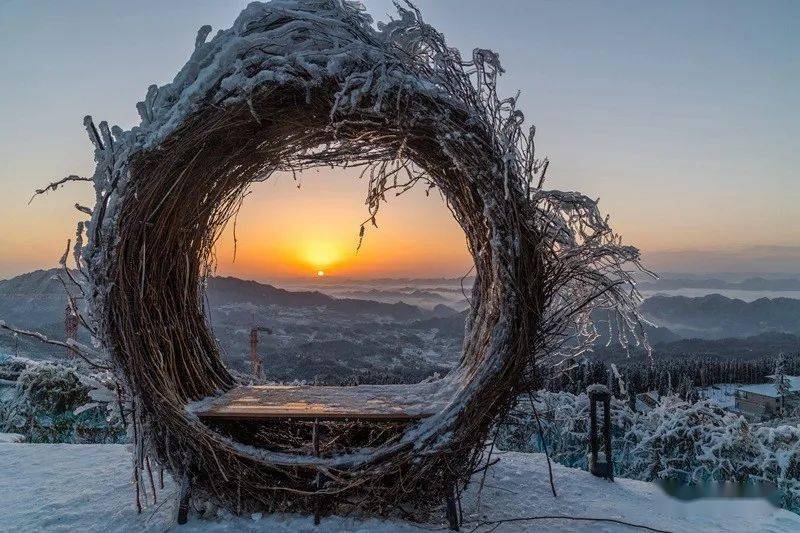 美到尖叫 | 你见过晨起时分的罗汉林吗?