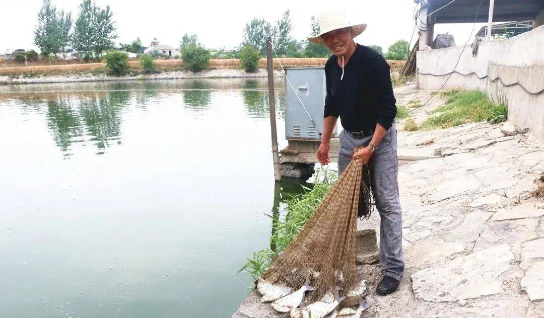 徐州秋波水产养殖专业合作社负责人邓传波是一名退伍军人,2000年退伍