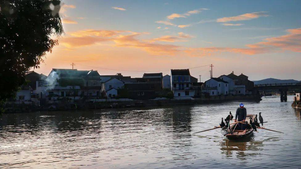 记住乡愁时光里的杨巷老街