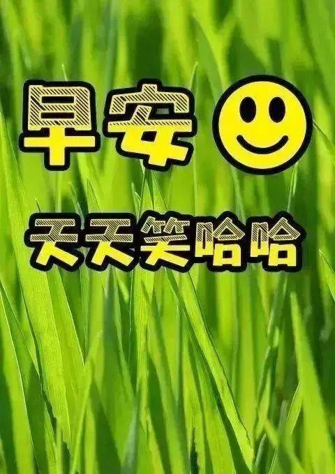 中老年人表情半岛体育包：一声早上好唤醒心中正能量！(图5)