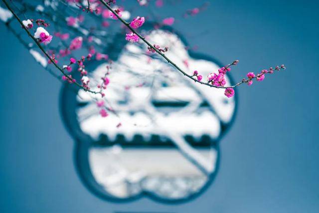 什么时候大寒节 8c13bc2cb66546468ec2f317207227ab.jpeg