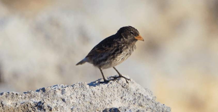 豆瓣9.8,开年第一部神作,震撼到泪流_手机搜狐网