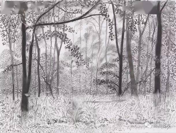素描的美感—大卫·霍克尼素描风景作品800幅