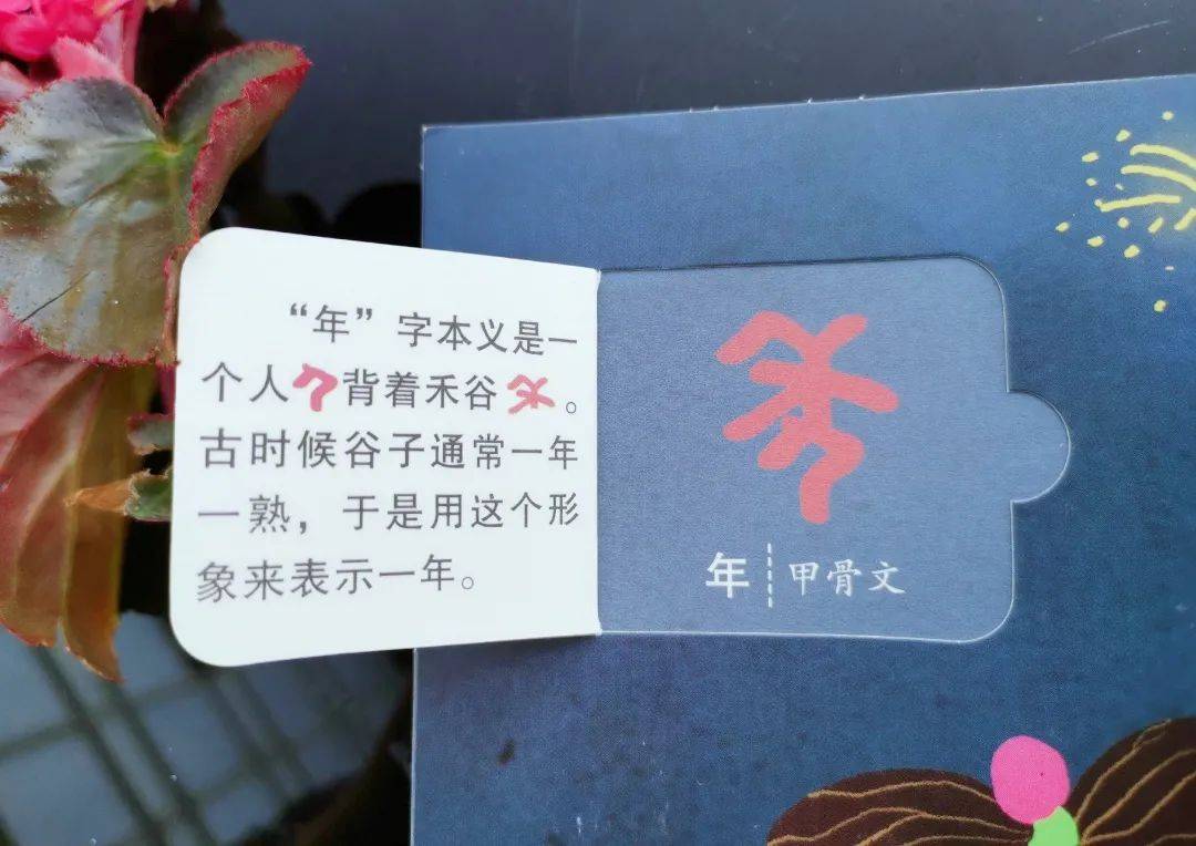 过年啦 汉字里的中国年 给孩子说文解字 过年涨知识 文化