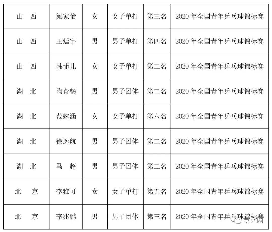 中国乒协乒乓球运动水平等级测试IP形象设计_辰合视觉-站酷ZCOOL