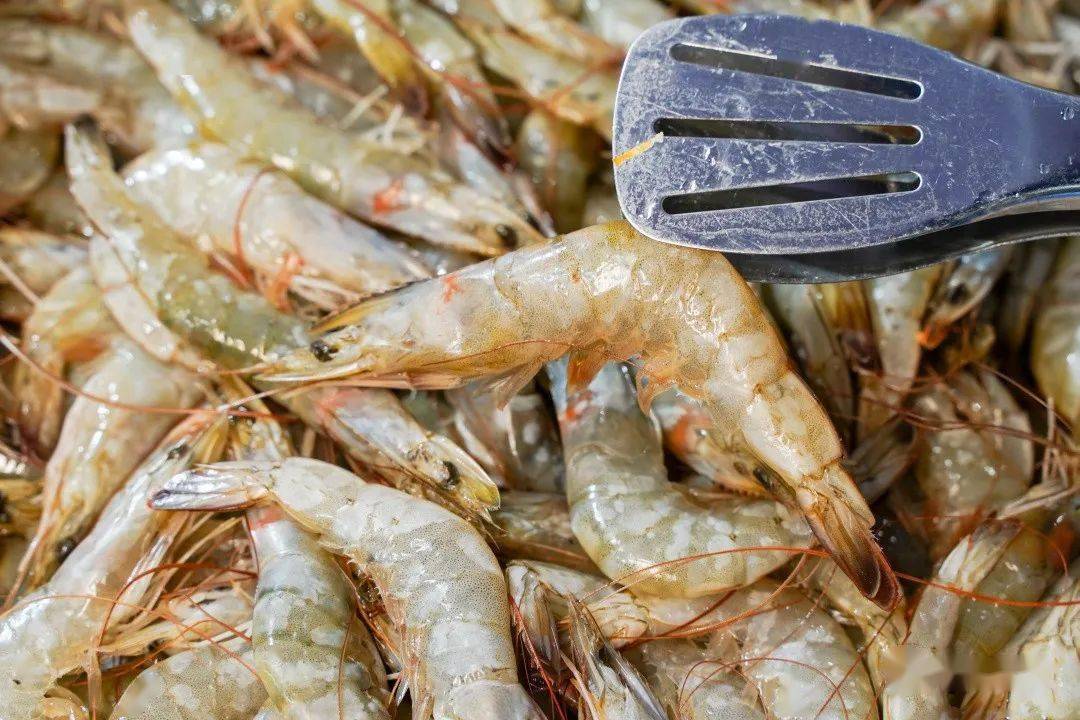 70元的火锅海鲜烤肉自助神店100多道菜无限畅吃去一次爽一年