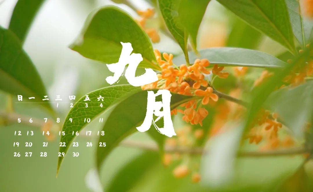 张张都是壁纸2021版太湖度假区定制日历