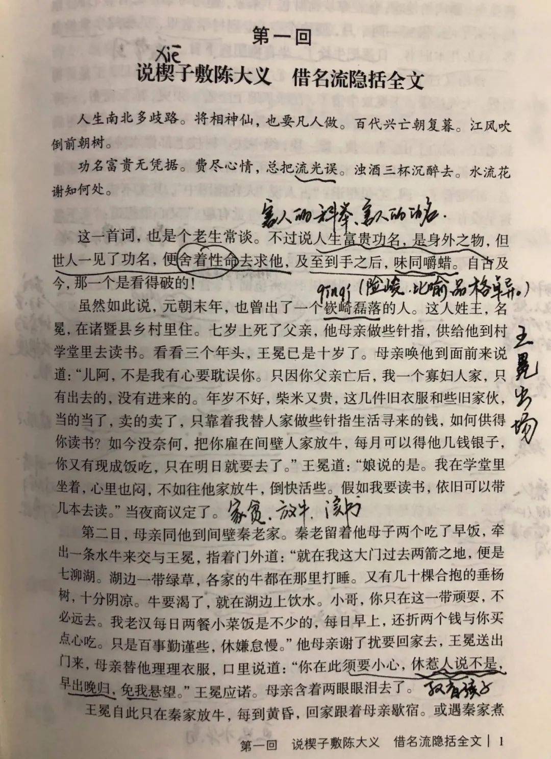 讀書丨任爾眾生醉科舉,我自清高閒散去——我讀《儒林外史》第一回