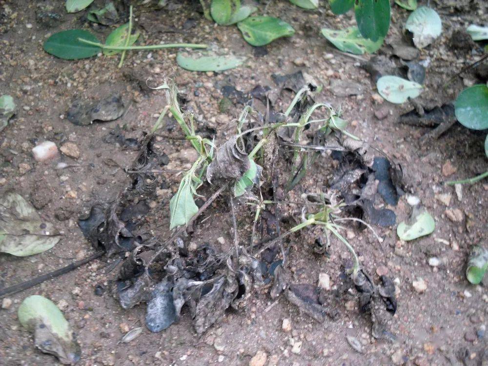 年终惊喜!两大爆品震撼钜惠,交订金就送. 仅此10天!