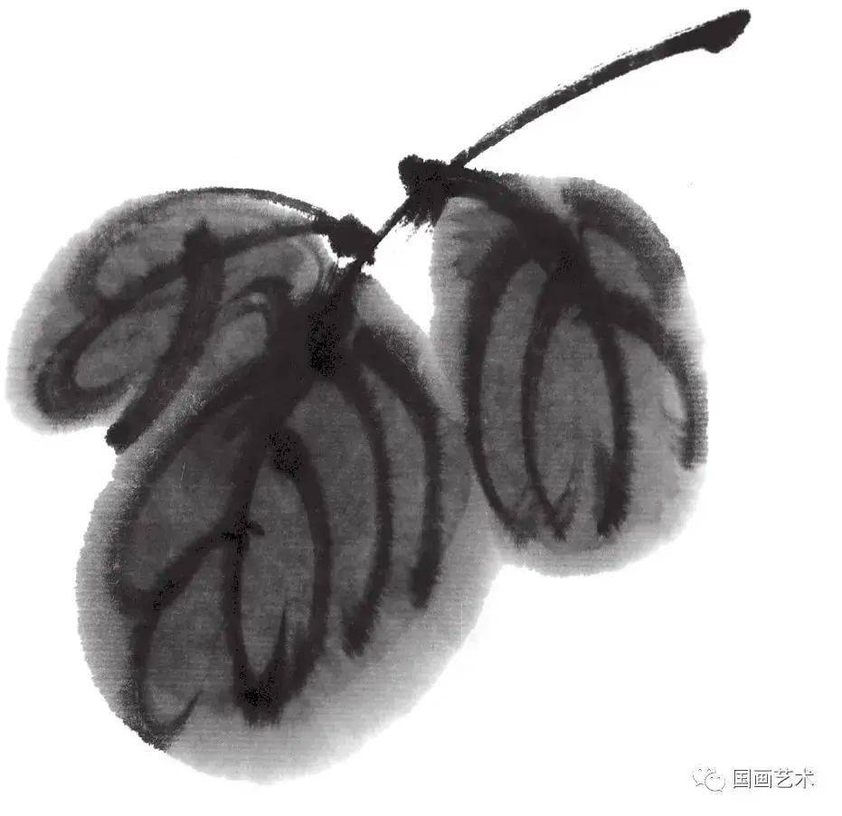 图文教程简单易学的写意菊花菊叶画法步骤