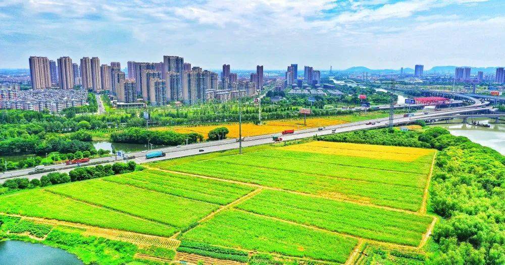 贯彻区委全会精神东北塘街道奋进十四五踏响靓丽城区转型铿锵足音