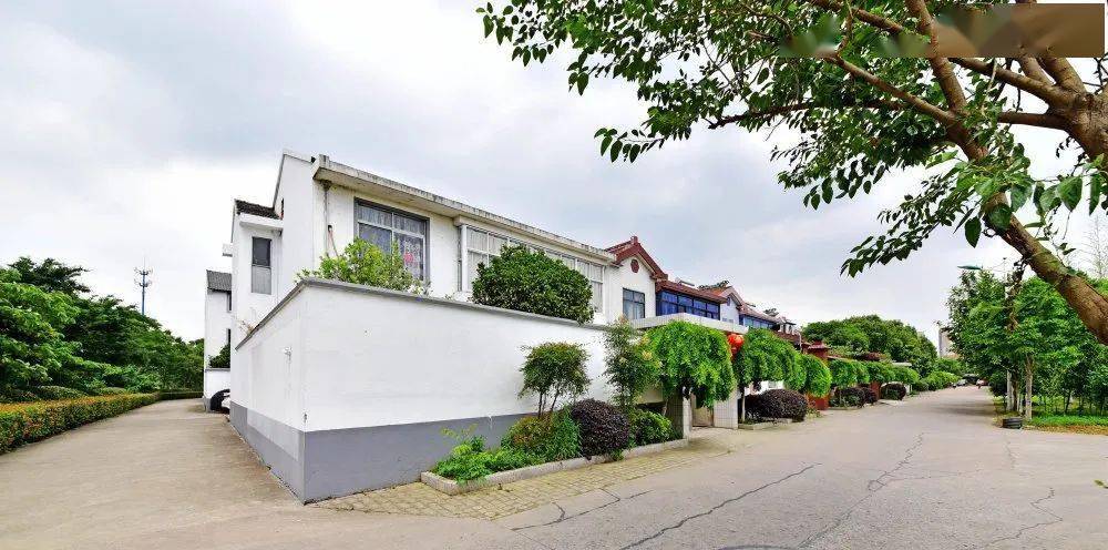 贯彻区委全会精神东北塘街道奋进十四五踏响靓丽城区转型铿锵足音