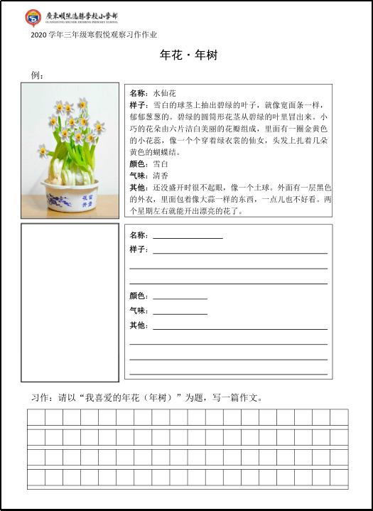 桃花的观察记录表图片图片