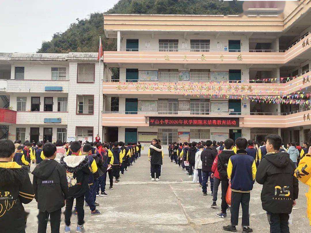 鹿寨县平山镇平山小学开展2020年秋学期期末禁毒集会教育活动