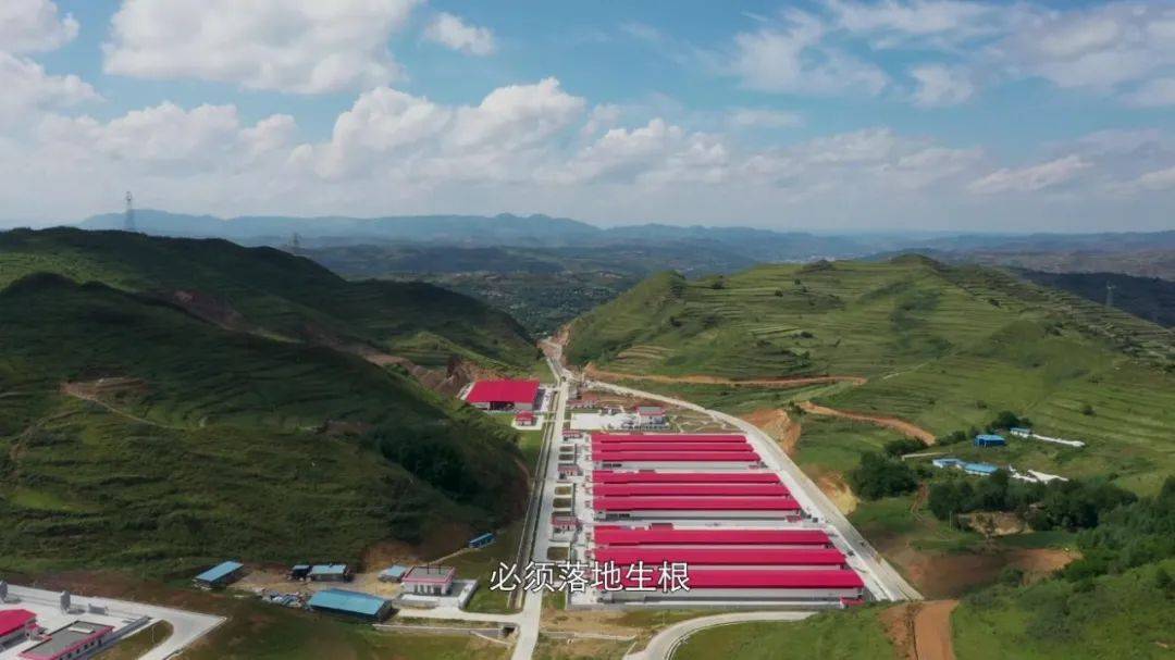 大型纪录片决战西和今日开播