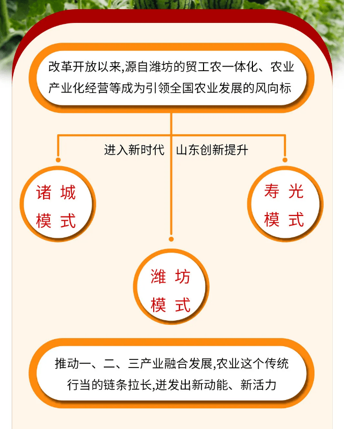 疫情下中国农村的GDP_数字解读疫情下2020年各国GDP,这些国家增速比中国快靠的是什么(3)