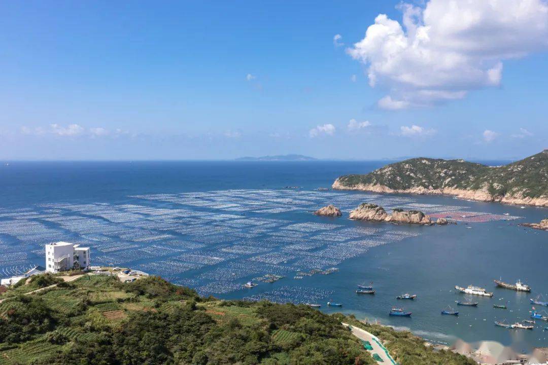 嵊泗又上熱搜?沒錯,網友誇花鳥,嵊山,枸杞島美得像動漫場景