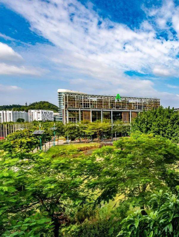 龙岗区经济总量_龙岗区地图(2)