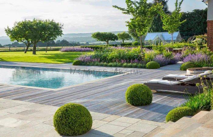 【与硬质景观搭配】如果你觉得灌木球太单调,那和一些其它植物组合