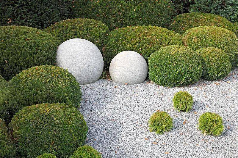 如果不知道种什么,那就种个"球"吧!_景观