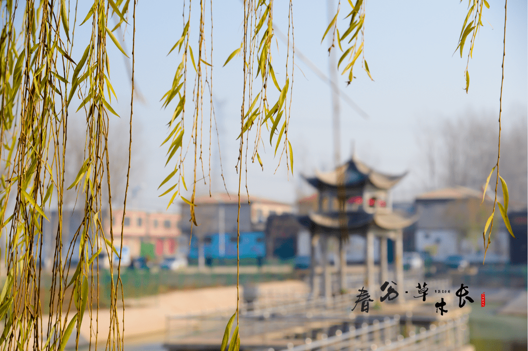 风雷送暖季中春,桃柳着妆日焕新【3月20日/21日】春分微雨众卉新,一雷